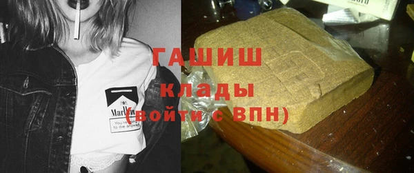 PSILOCYBIN Бугульма
