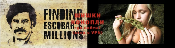 PSILOCYBIN Бугульма