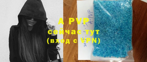 a pvp Бородино