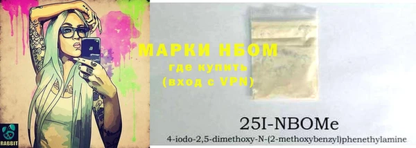 a pvp Бородино