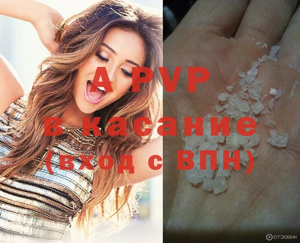 a pvp Бородино