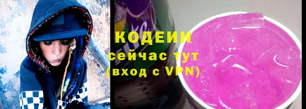 a pvp Бородино