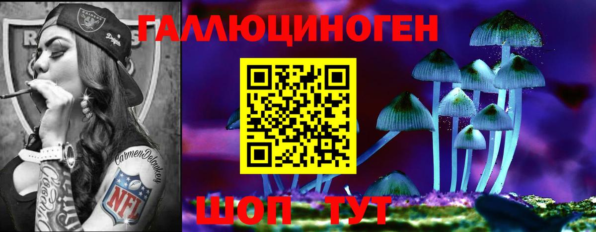 Галлюциногенные грибы ЛСД  Вход с VPN  Городец 