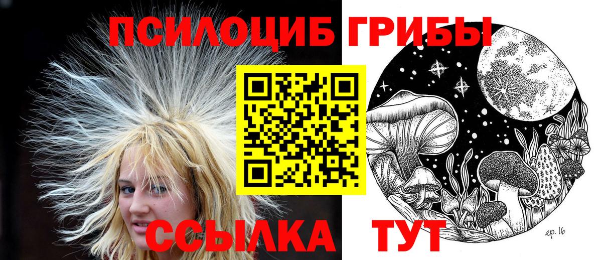 Галлюциногенные грибы ЛСД  Городец  Галлюциногенные грибы MAGIC MUSHROOMS 