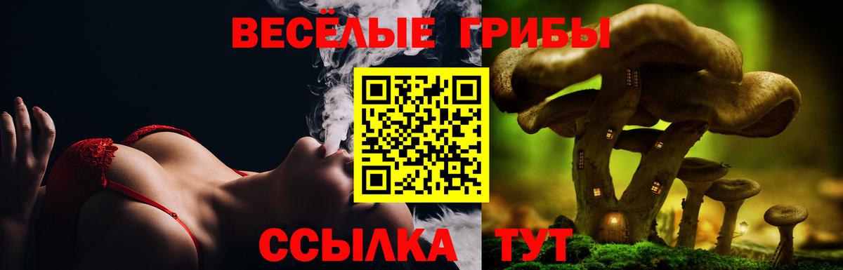 Псилоцибиновые грибы Cubensis Городец